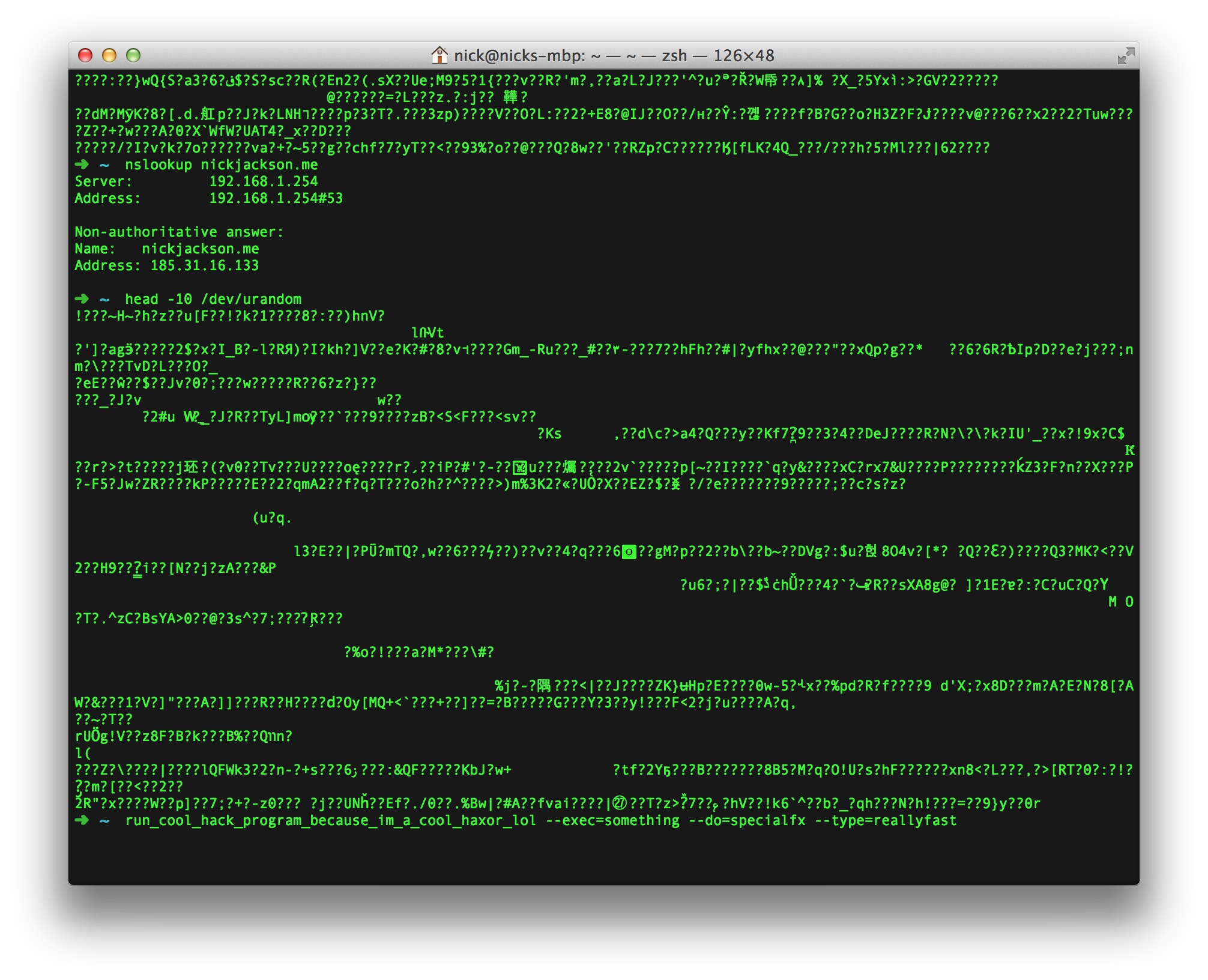 A screenshot of my terminal, showing an IP address amid gibberish.